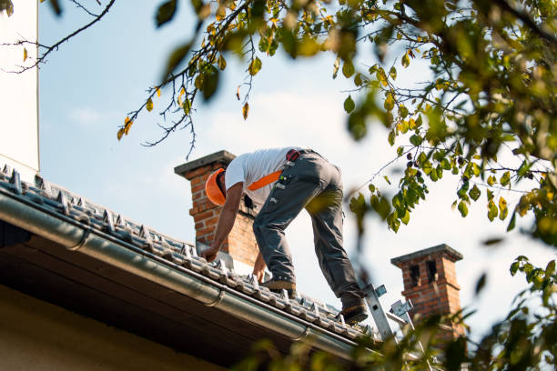 Best Roof Installation  in Browns Point, WA