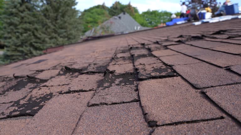 Best Roof Maintenance and Cleaning  in Browns Point, WA