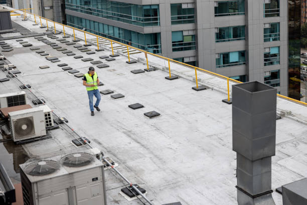 Best Skylight Installation and Repair  in Browns Point, WA